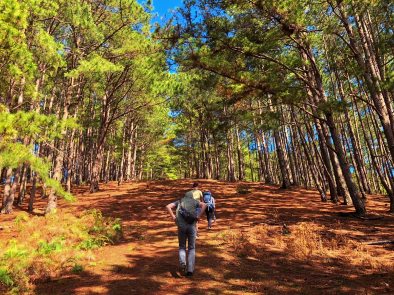 Tour trekking leo núi chinh phục LangBiang 1 ngày giá rẻ Trekking