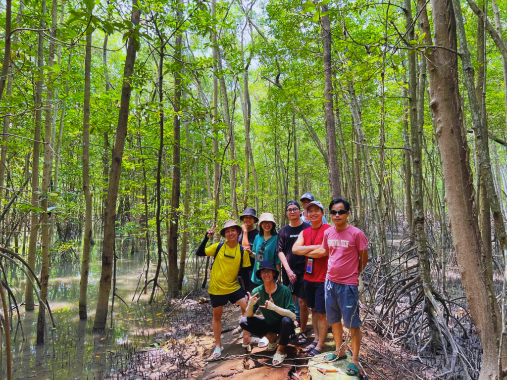 Tour chèo SUP khám phá rừng ngập mặn ở Cần Giờ giá ưu đãi, 1 số hoạt động du lịch hấp dẫn trong ngày