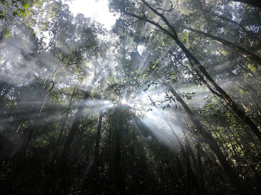 Khám phá Hòn Giao - rừng rêu đầy quyến rũ