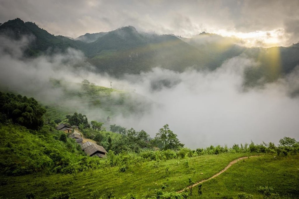 Sự hòa quyện "mây" và "hoa" trên núi Tà Chì Nhù
