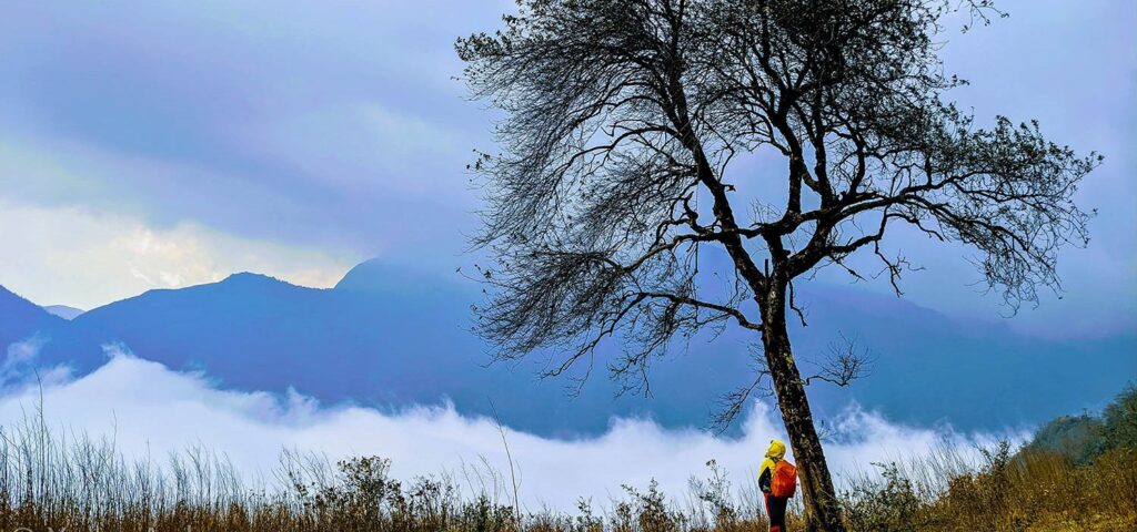 Tour trekking, leo núi chinh phục Nhìu Cồ San 2N3Đ giá ưu đãi, lịch trình du lịch bụi hấp dẫn, một trong các địa điểm trekking thú vị ở Lào Cai