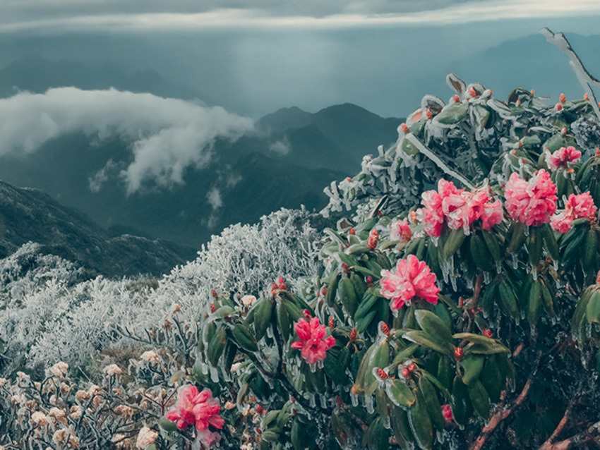 tour leo núi, trekking Putaleng và các địa điểm du lịch đẹp ở Lai Châu