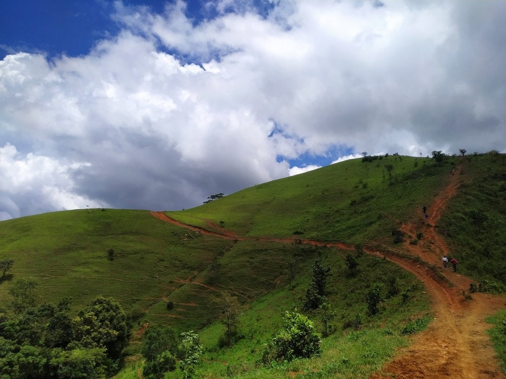 Kinh nghiệm trekking Tà Năng - Phan Dũng từ A-Z đầy đủ và chi tiết