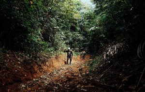 Trekking xuyên rừng quốc gia Bù Gia Mập