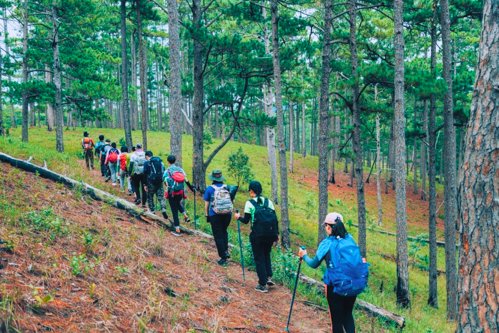 Tour trekking khám phá Hòn Giao - Vườn quốc gia Bidoup, Núi Bà giá ưu đãi, điểm du lịch hot ở Lâm Đồng