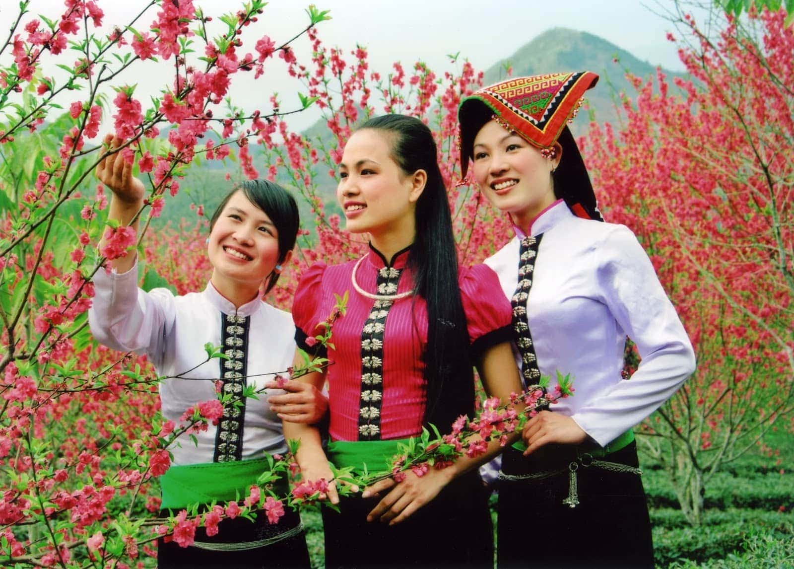 Vài nét về dân tộc Thái ở Sapa, Lào Cai