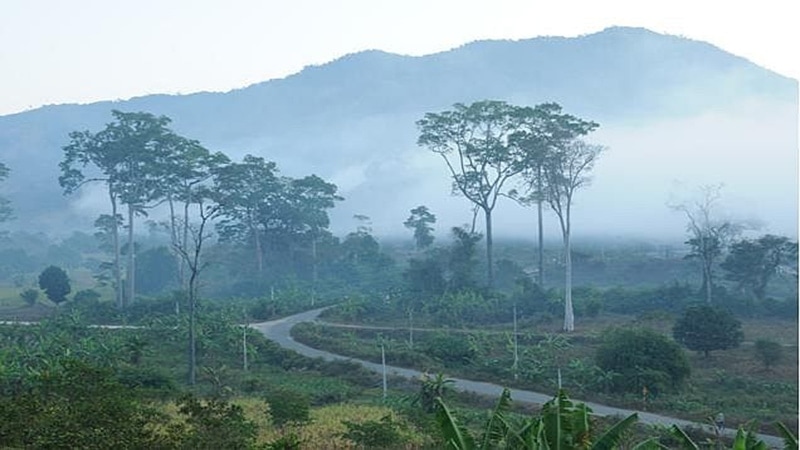 vườn quốc gia Phước Bình