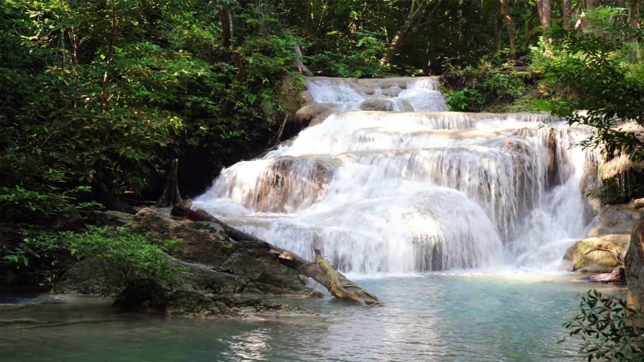 Review chi tiết tour khám phá vườn quốc gia Phước Bình