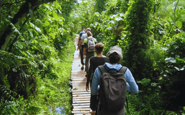 Tour 1 ngày trekking rừng nguyên sinh Phú Quốc, chèo sup ở Rạch Vẹm, địa điểm du lịch trải nghiệm hot