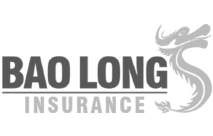 logo-baolong