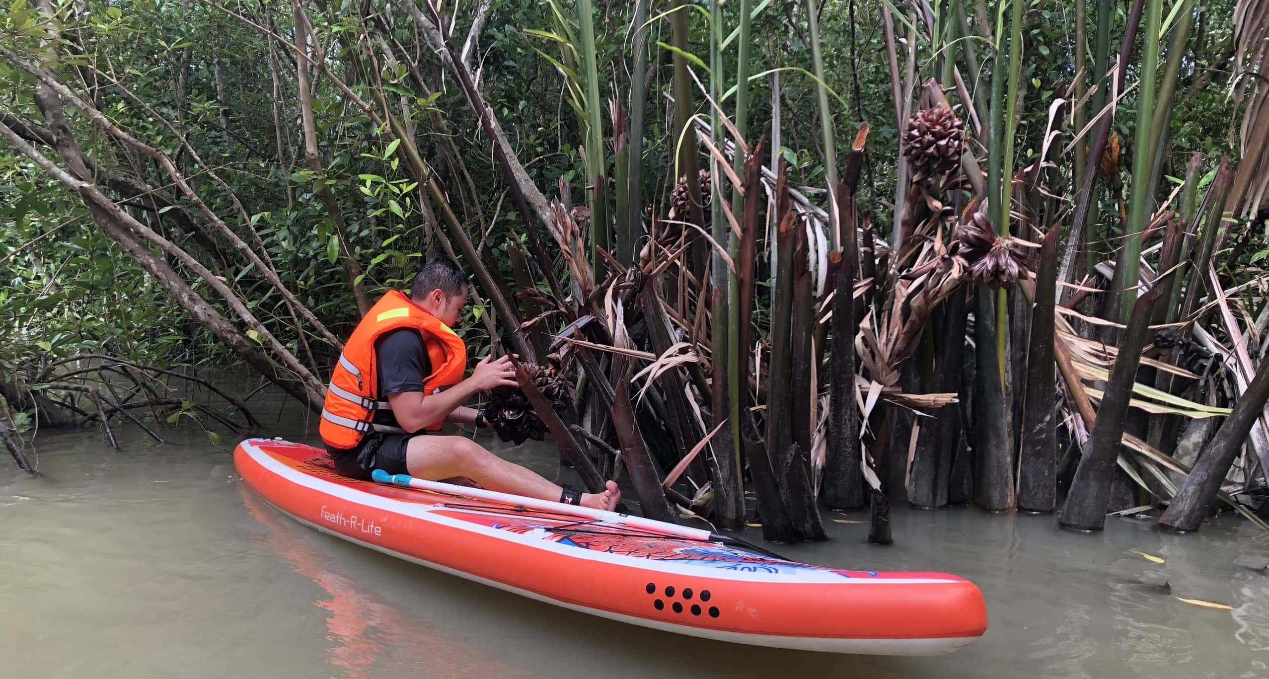 Tour du lịch team building 1 ngày dành cho côngty/gia đình tại cần giờ