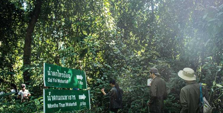Doi Suthep - địa điểm tour trekking lý tưởng khi du lịch Thái Lan