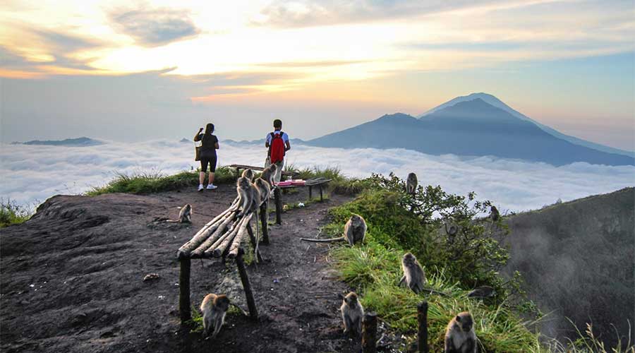 Tour trekking, leo núi ngắm bình minh núi lửa Batur giá rẻ, địa điểm du lịch bụi ở Bali, hướng dẫn viên bản địa, khởi hành từ 2 người, nhận voucher ngay,...