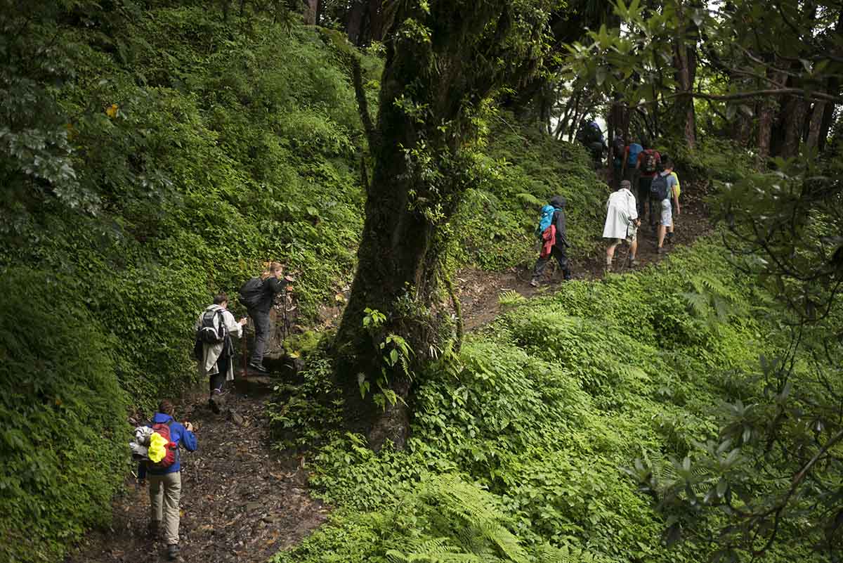 Trekking dãy Himalaya ở Nepal