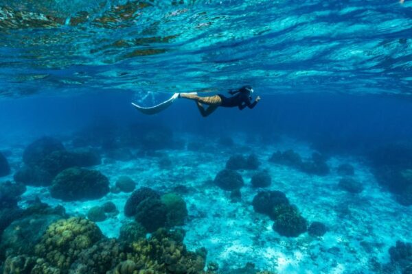 Tour lặn biển có ống thở ở đảo San hô và đảo Racha, Thái Lan