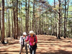 Tour Teambuilding Đà Lạt: Trekking, Leo Núi LangBiang 1 Ngày