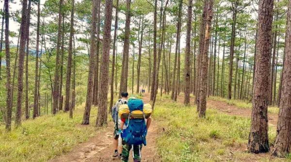 Tour Teambuilding Đà Lạt: Trekking, Leo Núi LangBiang 1 Ngày