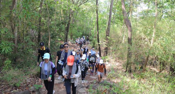 tour du lịch teambuilding núi dinh vũng tàu 1 ngày