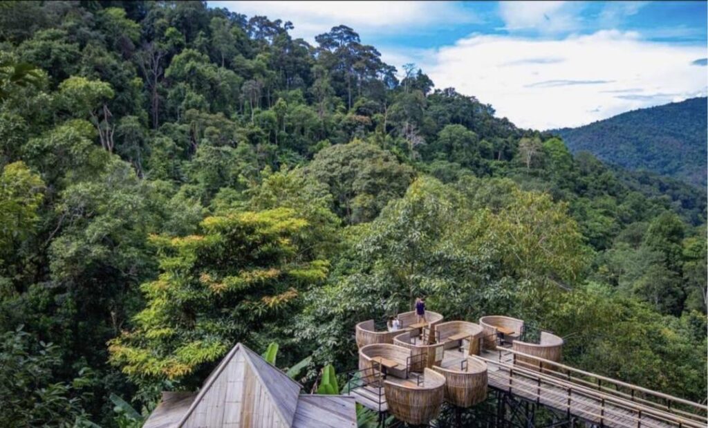 Vé chơi đu dây - trượt Zipline ở Chiang Mai