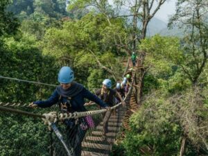 [Rẻ Nhất] Vé Chơi Đu Dây - Trượt Zipline Ở Chiang Mai