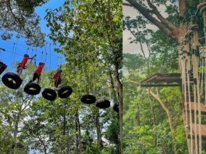 Treetop Adventure Park Hua Hin