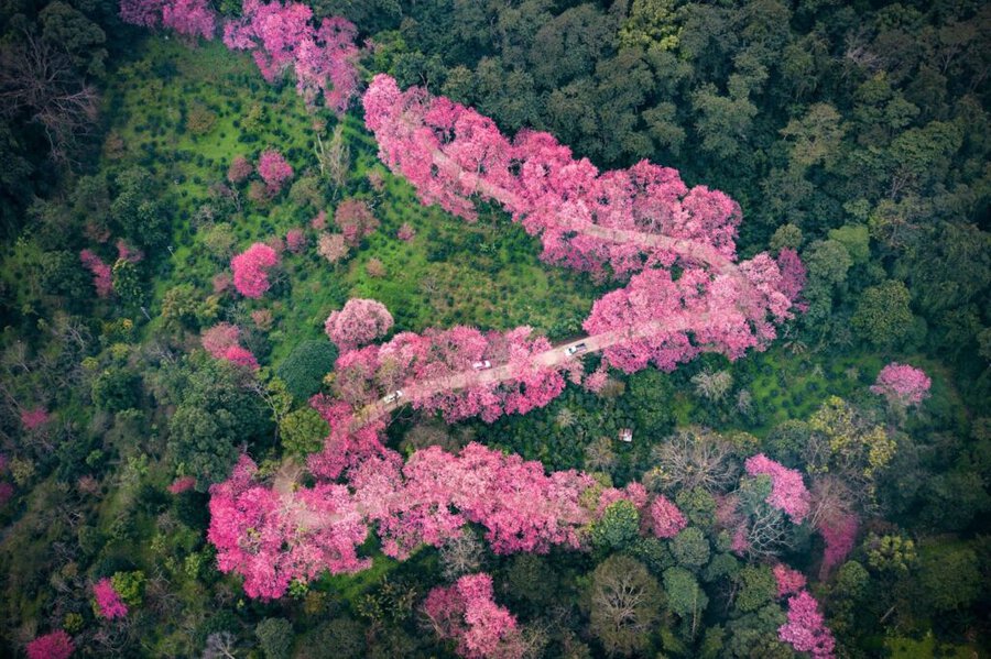 phong cảnh Chiang Mai