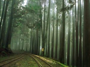 tour leo núi ở Alishan