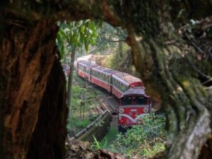 tour leo núi ở Alishan