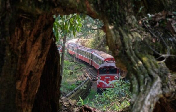 tour leo núi ở Alishan