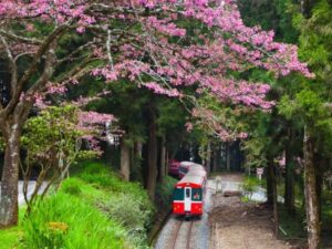 tour leo núi ở Alishan