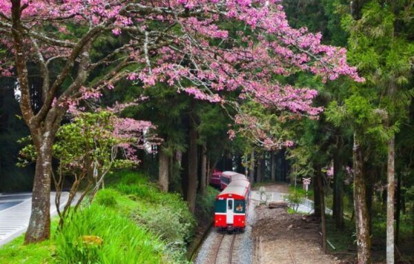 tour leo núi ở Alishan