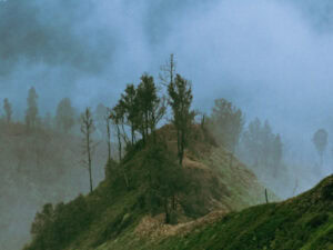 tour trekking ijen