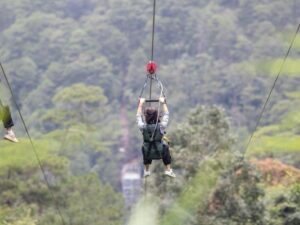 zipline thác Datanla, Đà Lạt