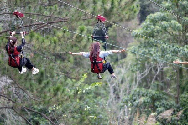 Tour Đu Dây - Trượt Zipline Xuyên Rừng Ở Thác Datanla, Đà Lạt