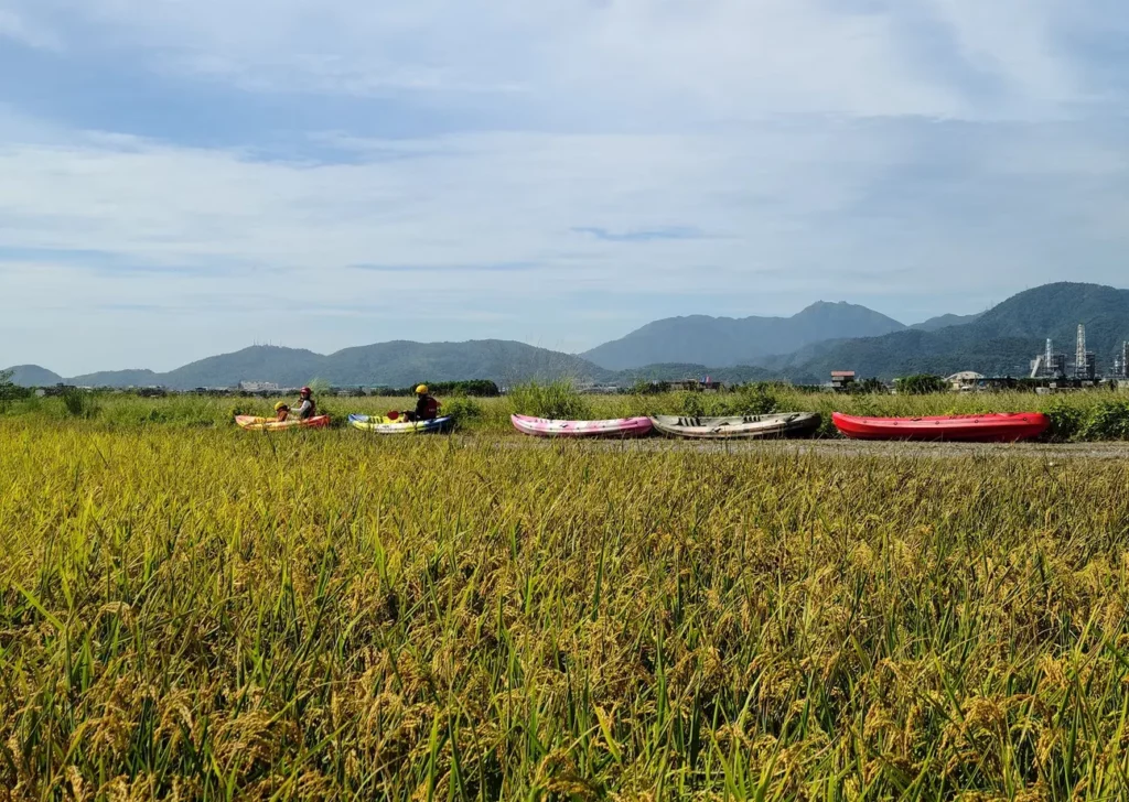 nghi lan mộc mạc