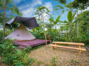 Tour Cắm Trại 1 Ngày Ở Cool Valley Glamping, Thái Nguyên