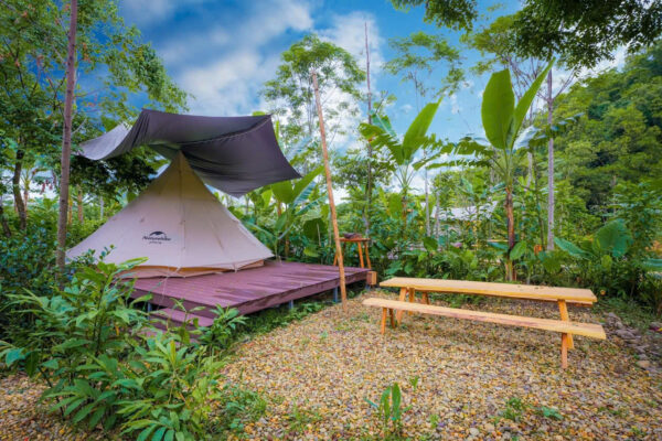 Tour Cắm Trại 1 Ngày Ở Cool Valley Glamping, Thái Nguyên