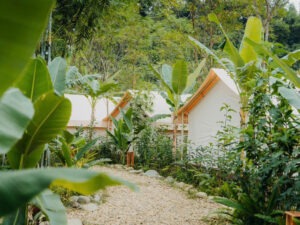 Glamping Thái Nguyên