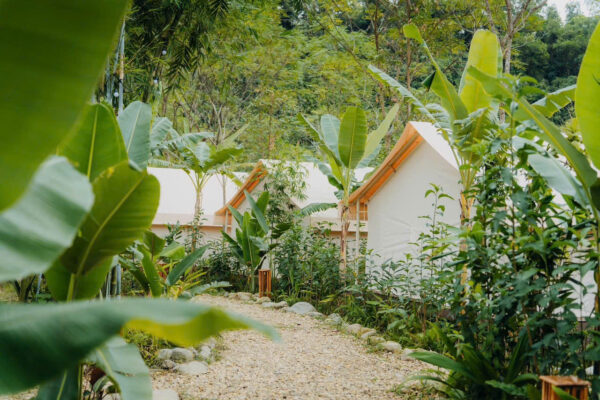 Glamping Thái Nguyên