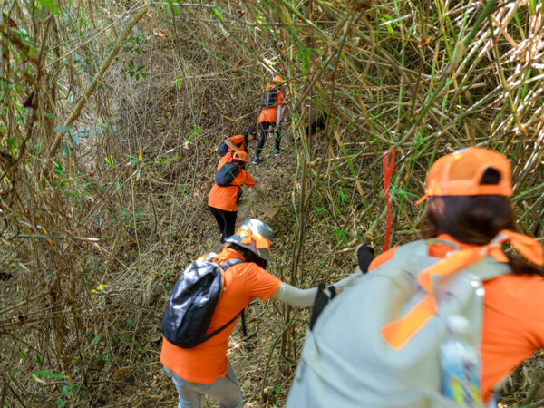 Tour 1 Ngày Trekking Núi Lớn (Tương Kỳ) Vũng Tàu