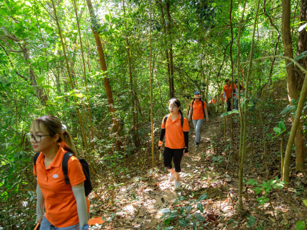 Tour 1 Ngày Trekking Núi Lớn (Tương Kỳ) Vũng Tàu