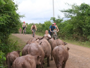 tour đạp xe luang prabang