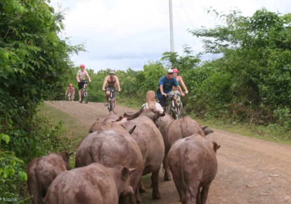 tour đạp xe luang prabang