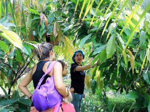 Tour tham quan nhà máy socola