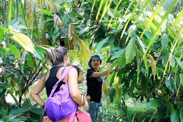 Tour tham quan nhà máy socola