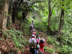 tour trekking Tam Đảo