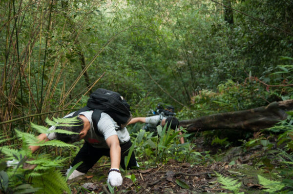 tour trekking Tam Đảo