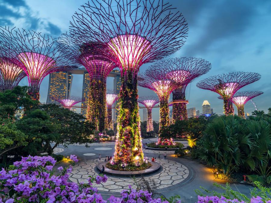 Tour thuê xe đạp 1 ngày ở Singapore : tham quan các địa điểm nổi tiếng, trải nghiệm du lịch tự túc