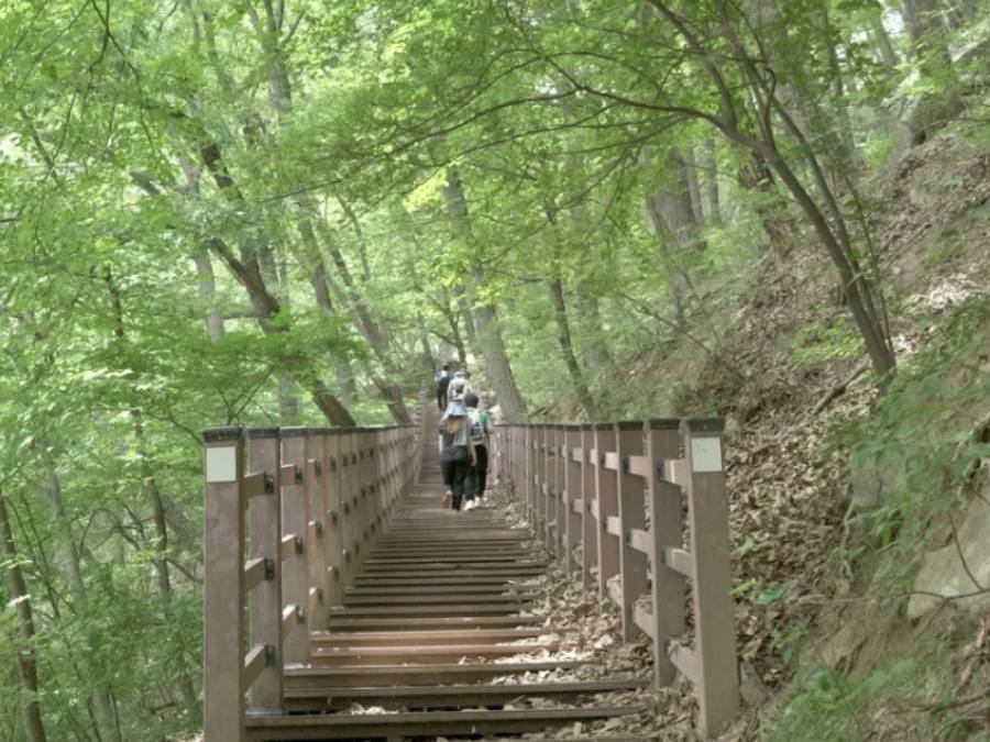 Tour Busan, Hàn Quốc : du lịch bụi 1 ngày, Hiking núi Geumjeong