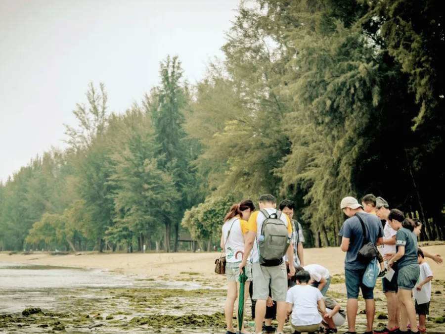 Tour hiking 1 ngày ở Singapore du lịch tự túc